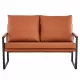 Modern Two-Seater Sofa Chair with 2 Pillows - PU Leather, High-Density Foam, Black Coated Metal Frame.Brown SF-D008 Modern Two-Seater Sofa Chair with 2 Pillows - PU Leather, High-Density Foam, Black Coated Metal Frame.Brown SF-D008