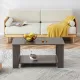 Modern minimalist gray wood grain double layered rectangular coffee table,tea table.MDF material is more durable,Suitable for living room, bedroom, and study room.19.6 Modern minimalist gray wood grain double layered rectangular coffee table,tea table.MDF material is more durable,Suitable for living room, bedroom, and study room.19.6