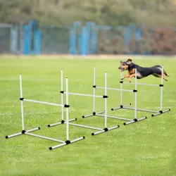 4 Pack Adjustable Dog Agility Jumps with Carry Bag Exercise Dog Jumping Hurdles for Indoor Outdoor Dog Agility Course Game, White 4 Pack Adjustable Dog Agility Jumps with Carry Bag Exercise Dog Jumping Hurdles for Indoor Outdoor Dog Agility Course Game, White