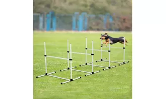   

Enhance Your Dog's Agility Training with 4 Pack Adjustable Jumps and Carry Bag