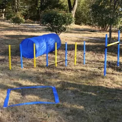 4 Pack Obstacle Dog Agility Training 4 Pack Obstacle Dog Agility Training