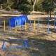 4 Pack Obstacle Dog Agility Training