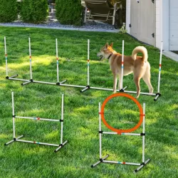 3PC Dog Agility Equipment Set, Obstacle Course Exercise for Dog 3PC Dog Agility Equipment Set, Obstacle Course Exercise for Dog