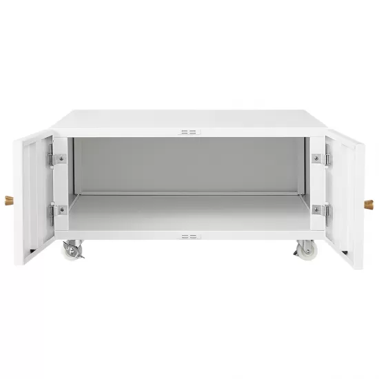 Office Copier File Cabinet, Mobile Lateral Filing Cabinet with 2 Door, Rolling File Cabinet, Printer Stand for Legal/Letter/A4 File Office Copier File Cabinet, Mobile Lateral Filing Cabinet with 2 Door, Rolling File Cabinet, Printer Stand for Legal/Letter/A4 File