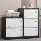 2 Drawer Metal Lateral File Cabinet with Lock,Office Vertical Files Cabinet for Home Office/Legal/Letter/A4,Locking Metal File Cabinet,Assembly Required