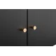 Office furniture Copier Cabinet BLACK 2 door steel copier stand mobile pedestal file Printer Stand Office furniture Copier Cabinet BLACK 2 door steel copier stand mobile pedestal file Printer Stand