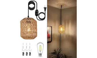  

Enhance Your Space with a Stylish Plug-in Pendant Light Featuring LED Bulb and 16ft Dimmable Cord