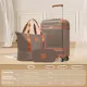 Hardshell Luggage Sets 3 Piece Carry-on Suitcase Double Spinner Wheels with TSA Lock for Men Women, Coppery (20in) Hardshell Luggage Sets 3 Piece Carry-on Suitcase Double Spinner Wheels with TSA Lock for Men Women, Coppery (20in)