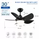 30 In Intergrated LED Ceiling Fan Lighting with Matte Black ABS Blade 30 In Intergrated LED Ceiling Fan Lighting with Matte Black ABS Blade