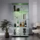 Lighted Two Door Glass Cabinet Glass Display Cabinet with 4 Shelves, White Lighted Two Door Glass Cabinet Glass Display Cabinet with 4 Shelves, White