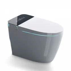 ST-ZGP-01 Smart Toilet with Heated Bidet Seat, One Piece toilet with AUTO Open&Close, Feet Sensor Operation, AUTO Dual Flush, Dryer and Warm Water, Built In Water Tank Without Pressure Limited, White