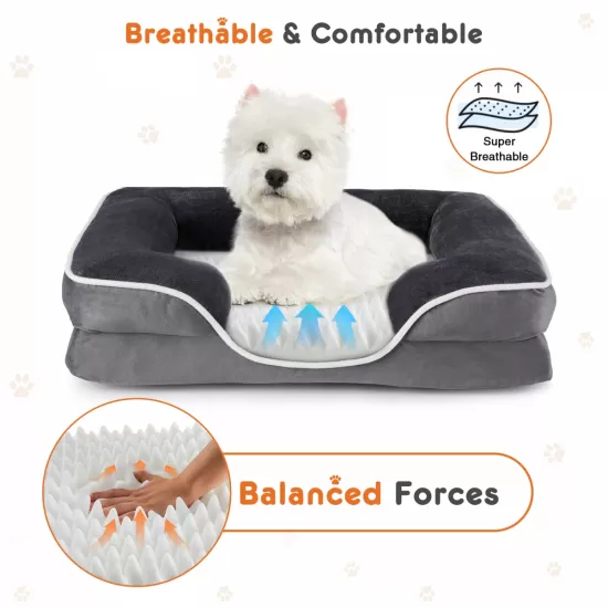 Memory Foam Pet Bed for Small Dogs & Cats with Washable Removable Cover Non-Slip Base Waterproof Liner Egg Crate Foam for Improved Sleep, grey,large Memory Foam Pet Bed for Small Dogs & Cats with Washable Removable Cover Non-Slip Base Waterproof Liner Egg Crate Foam for Improved Sleep, grey,large