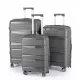Hardshell Suitcase Spinner Wheels PP Luggage Sets Lightweight Durable Suitcase with TSA Lock,3-Piece Set (20/24/28)Dark Gray2302 Hardshell Suitcase Spinner Wheels PP Luggage Sets Lightweight Durable Suitcase with TSA Lock,3-Piece Set (20/24/28)Dark Gray2302