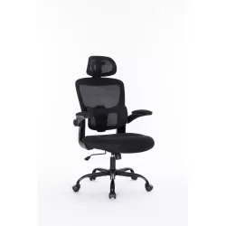 Ergonomic Mesh Office Chair with 3D Adjustable Lumbar Support, High Back Desk Chair with Flip-up Arms, Executive Computer Chair Home Office Task Swivel Rolling Chairs for Adults Ergonomic Mesh Office Chair with 3D Adjustable Lumbar Support, High Back Desk Chair with Flip-up Arms, Executive Computer Chair Home Office Task Swivel Rolling Chairs for Adults