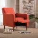 RECLINER RECLINER