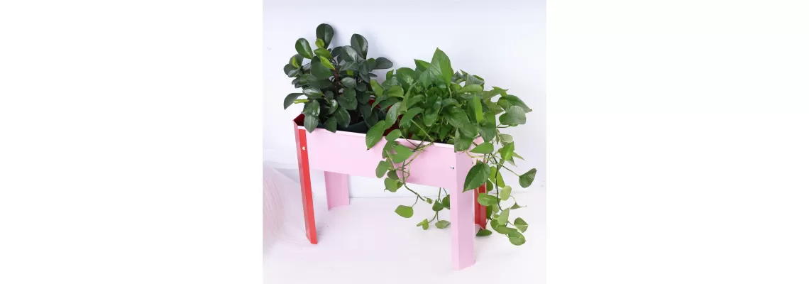 Elevated Garden Beds: The Perfect Solution for Your Backyard and Terrace Gardening Needs Elevated Garden Beds: The Perfect Solution for Your Backyard and Terrace Gardening Needs