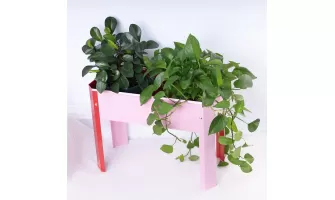 Elevated Garden Beds: The Perfect Solution for Your Backyard and Terrace Gardening Needs