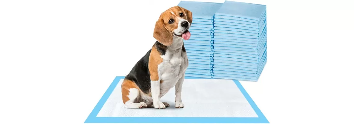 ScratchMe Super-Absorbent Waterproof Dog Training Pads: The Perfect Solution for Housebreaking Puppies ScratchMe Super-Absorbent Waterproof Dog Training Pads: The Perfect Solution for Housebreaking Puppies