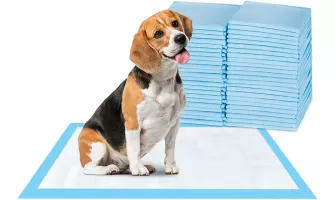 ScratchMe Super-Absorbent Waterproof Dog Training Pads: The Perfect Solution for Housebreaking Puppies