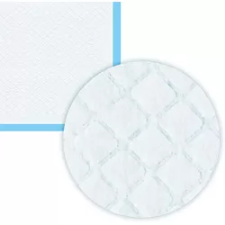 ScratchMe Super-Absorbent Waterproof Dog and Puppy Pet Training Pad, Housebreaking Pet Pad, 100-Count Extra Small-Size, 13’’X17.7’’, Blue ScratchMe Super-Absorbent Waterproof Dog and Puppy Pet Training Pad, Housebreaking Pet Pad, 100-Count Extra Small-Size, 13’’X17.7’’, Blue
