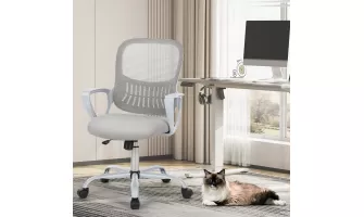 The Sweetcrispy Ergonomic Office Chair: Affordable Comfort for Home and Work Desks