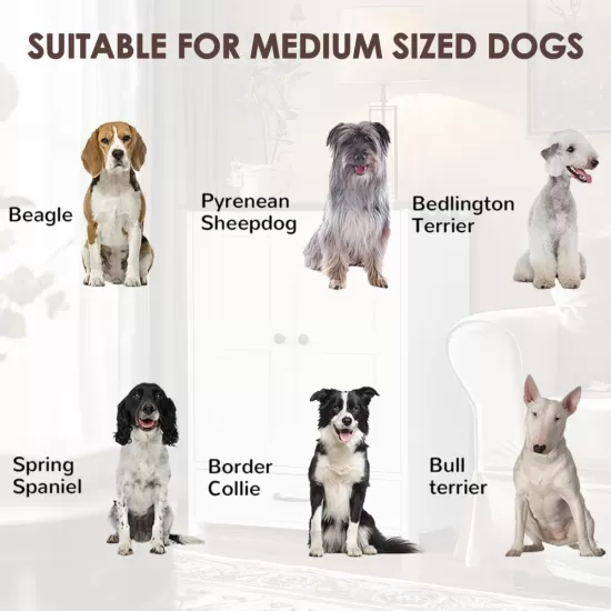 Dog Feeding Station, Dog Food Storage Cabinet with Hidden Dog Bowls, Adjustable Panel, Hooks, for Medium Sized Dogs, White Dog Feeding Station, Dog Food Storage Cabinet with Hidden Dog Bowls, Adjustable Panel, Hooks, for Medium Sized Dogs, White
