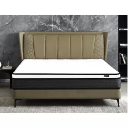 Hybrid 10 Inch Queen Mattress in a Box, Pillow Top Bed Cushion with Breathable and Hypoallergenic Design, Medium Firm for Lumbar Support